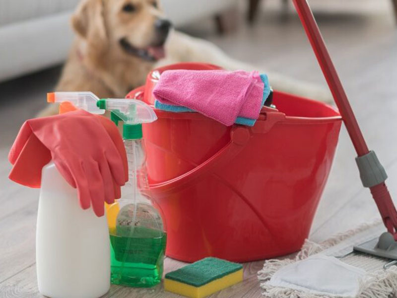 pet and cleaning materials