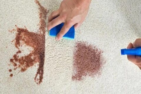 a person cleaning carpet