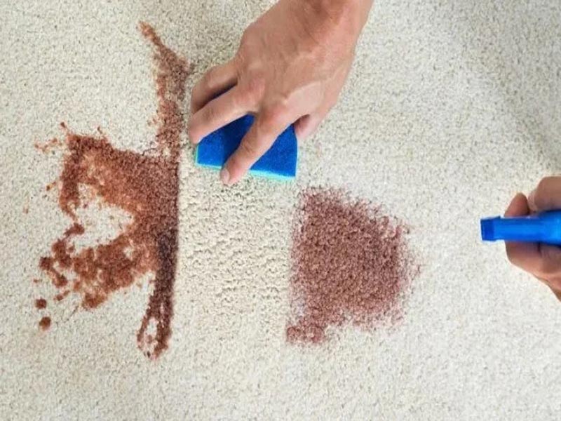 a person cleaning carpet